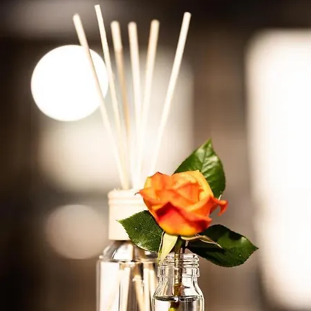 Wolfis Traunseeblick - Mit Kostenlosem Parkplatz Direkt An Der شقة