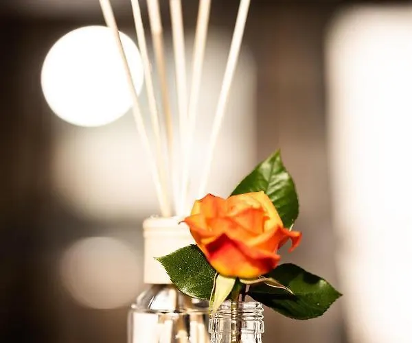 Wolfis Traunseeblick - Mit Kostenlosem Parkplatz Direkt An Der Appartement