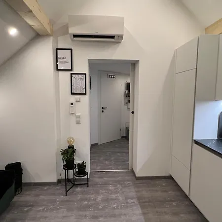 Apartment Wolfis Traunseeblick 2 Gmunden